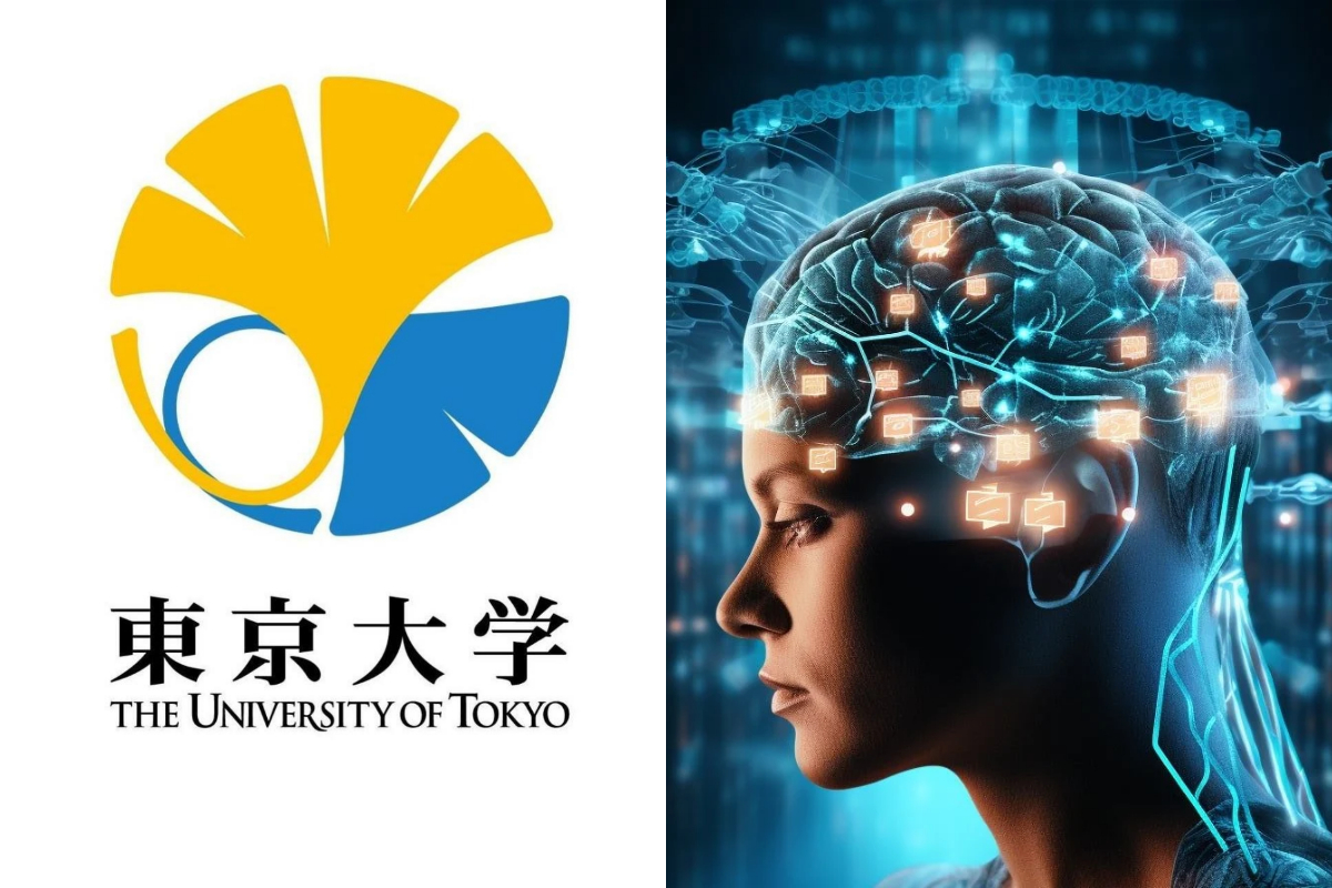 Brain-inspired AI learns to make more accurate predictions