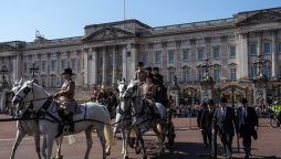 Man Arrested for Scaling Wall at Buckingham Palace