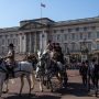 Man Arrested for Scaling Wall at Buckingham Palace