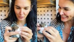Angie Harmon rescuing baby squirrel video is sure to make you smile