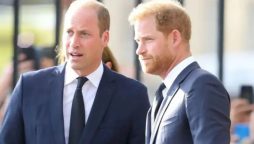 Prince Harry fails to ignore heroic Prince William while in US