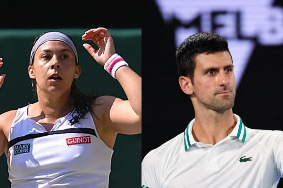Bartoli claims Djokovic's Serbian heritage affects popularity