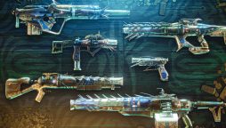 Bungie releases a partial fix for the Destiny 2 weapon