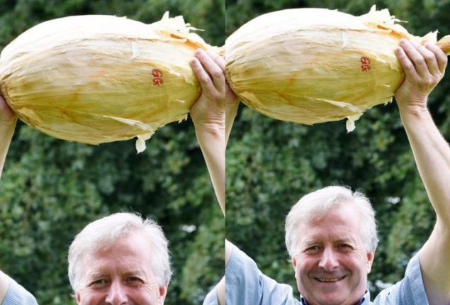 UK Gardener breaks record with growing massive 8.97 kg onion