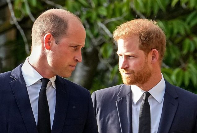 Prince Harry blanked out by Prince William