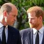 Prince Harry blanked out by Prince William