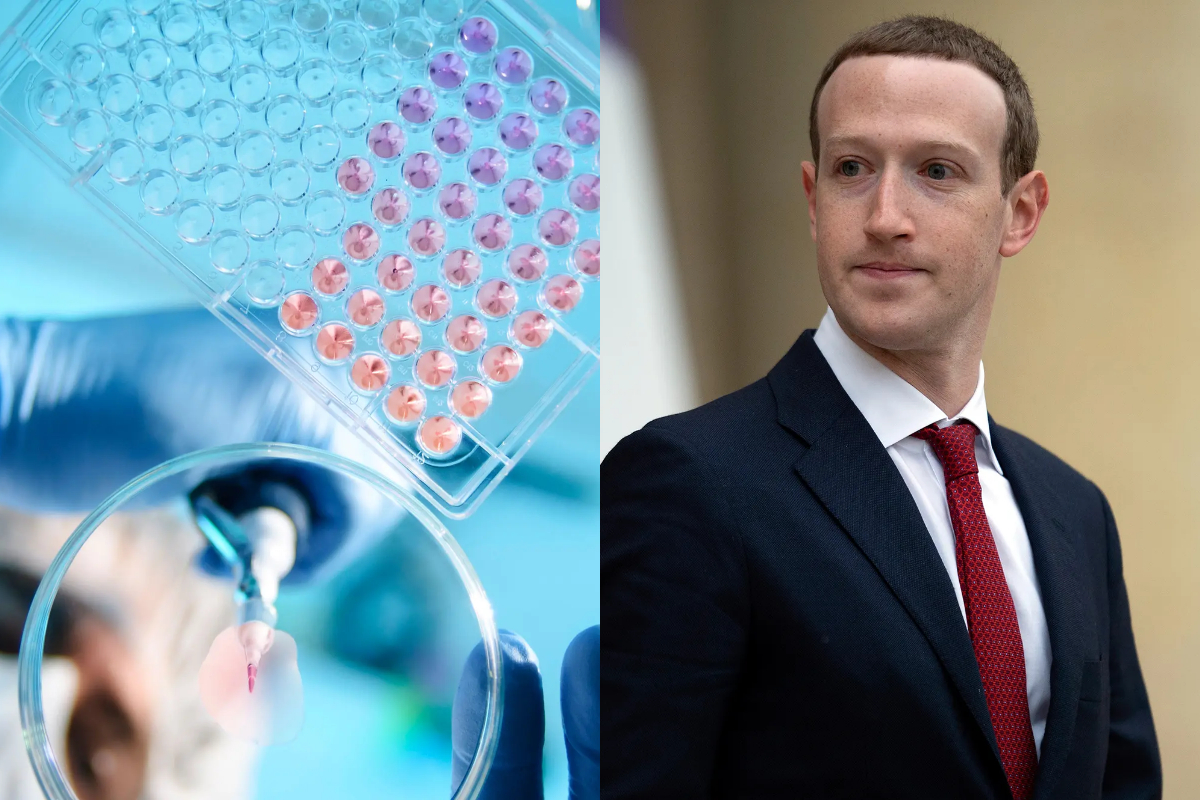 Meta CEO to Invest in AI for Life Sciences Research