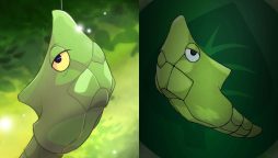 Pokemon Fan designs new Evolution form Metapod