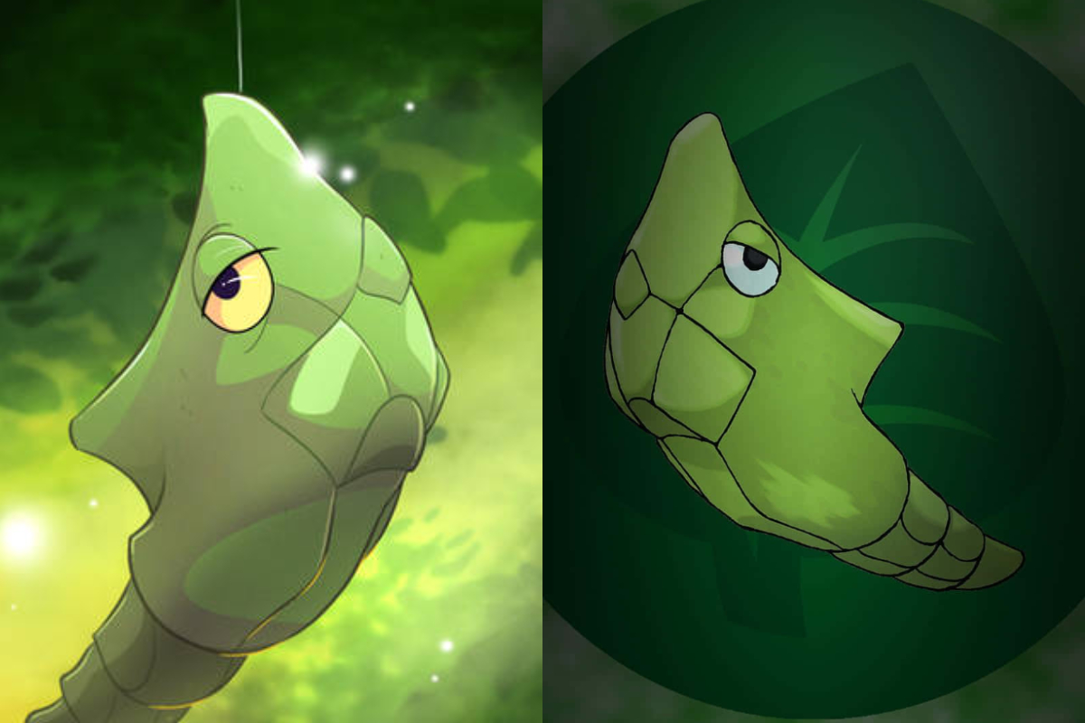 Pokemon Fan designs new Evolution form Metapod