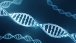 Google DeepMind AI Helps Scientists Understand Disease Genes