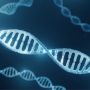 Google DeepMind AI Helps Scientists Understand Disease Genes