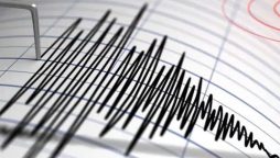 Tremor of magnitude 6.0 occurs near Geraldine, New Zealand