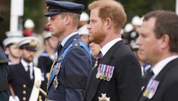 Harry gave William hand flicking gesture at Queen’s funeral
