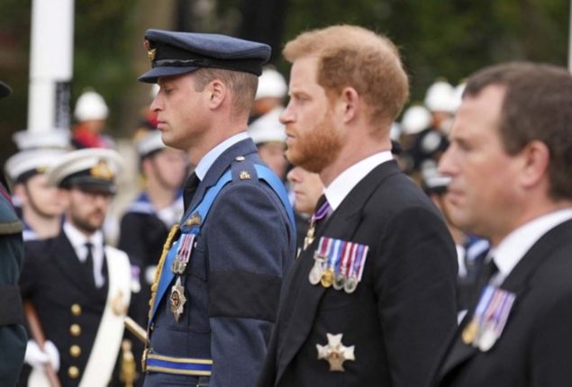 Harry gave William hand flicking gesture at Queen’s funeral
