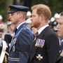 Harry gave William hand flicking gesture at Queen’s funeral