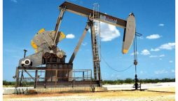 Emirates Petroleum is hiring in the UAE with salaries up to 7,000 AED