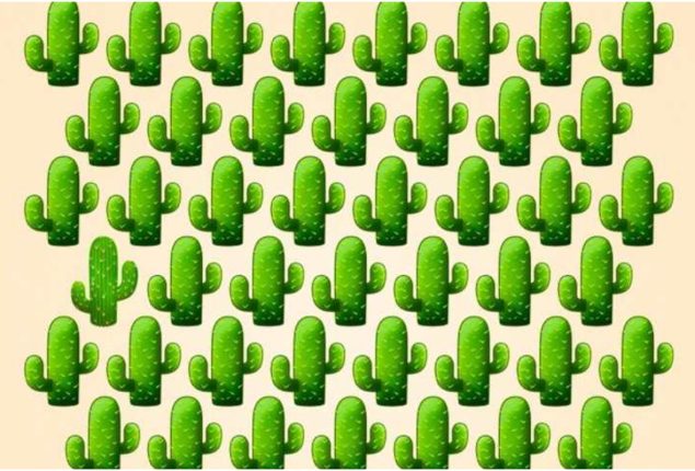 Brain Teaser Test: Find the Odd Cactus in 9 Seconds to Test Your IQ