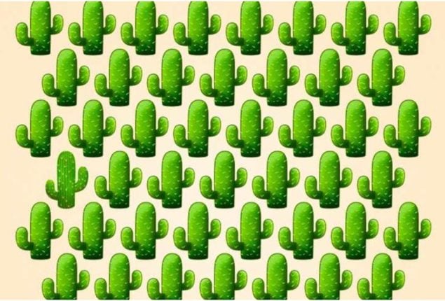 Brain Teaser Test: Find the Odd Cactus in 9 Seconds to Test Your IQ