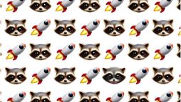 Seek and Find Puzzle: Test Your Sharp Eye by Finding the Odd Raccoon
