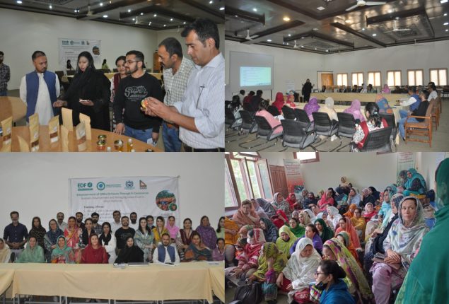 TDAP’s National Exporters Training Program Empowers Northern Manufacturers