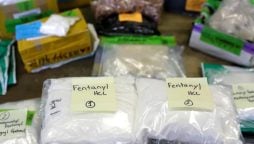 Daycare Center Had Secret Fentanyl Stash, says NYC police