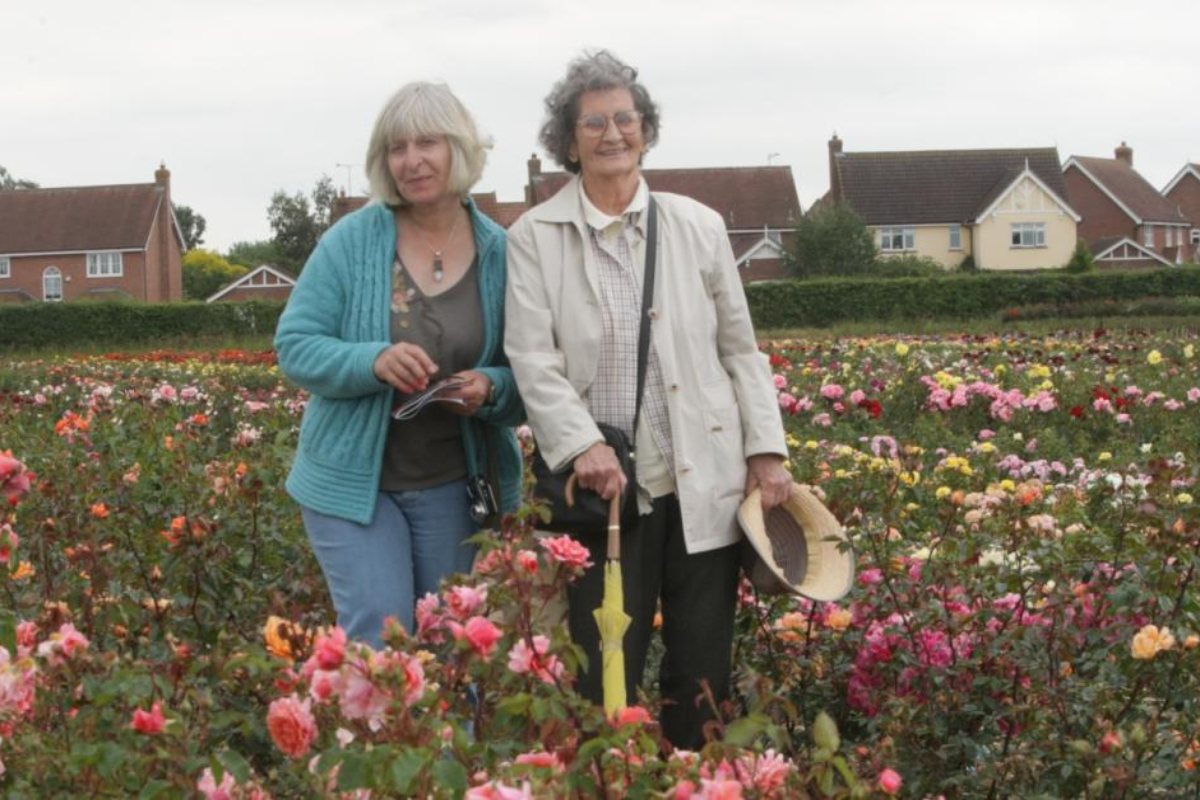 Historic 250-year-old rose farm