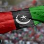PPP forms parliamentary boards for general elections