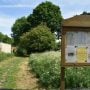 19-Year-Old Man Stabbed to Death in Jubilee Country Park