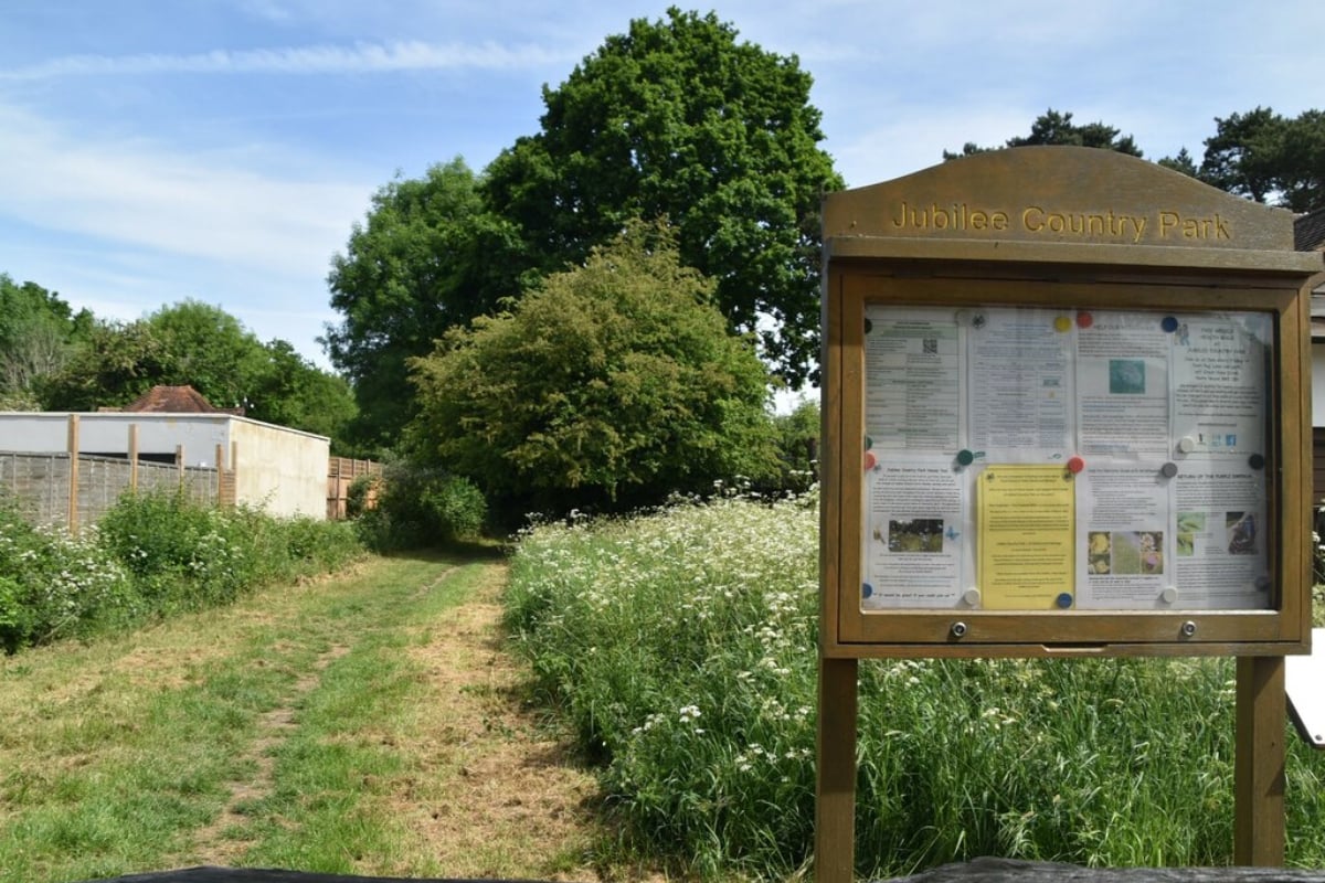 19-Year-Old Man Stabbed to Death in Jubilee Country Park