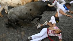 Spanish Festival Turns Deadly After Bull Kills Man
