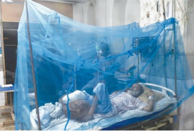 More cases of malaria reports in Sindh