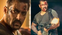 Tiger 3: Salman Khan’s Message Garners Praise, Building Buzz For The Film