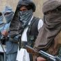 Afghan Govt arrests 200 militants involved in cross-border attacks