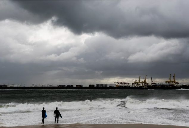 Whale Breach Kills One, Injures Another in Australia