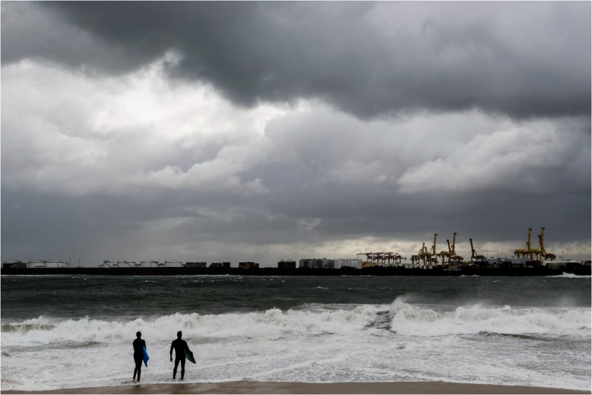 Whale Breach Kills One, Injures Another in Australia