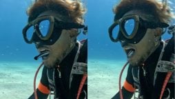 Viral Video: Fish Enters Diver’s Mouth