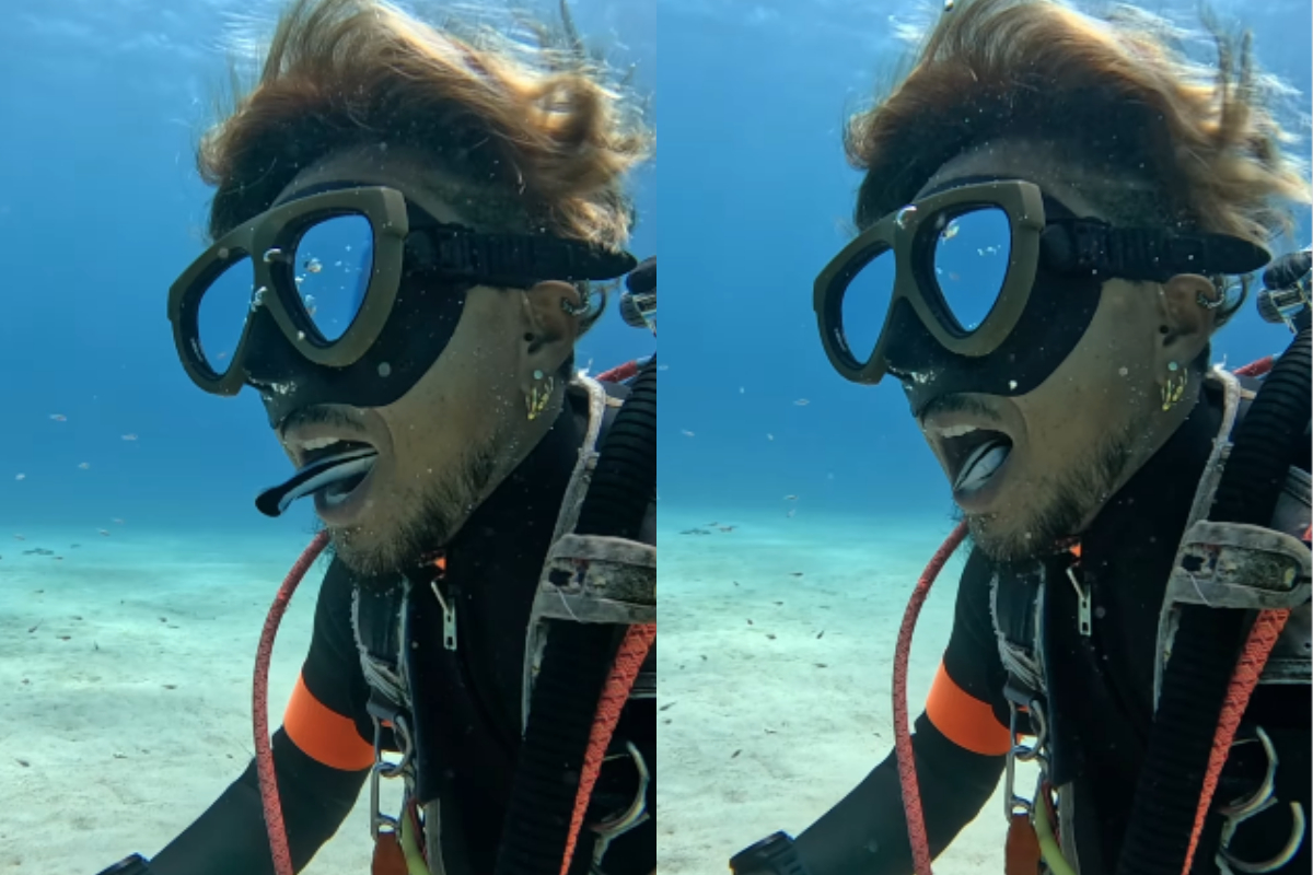 Fish Enters Diver's Mouth