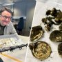 Metal Detector Finds 1,500-Year-Old Gold Necklace in Norway