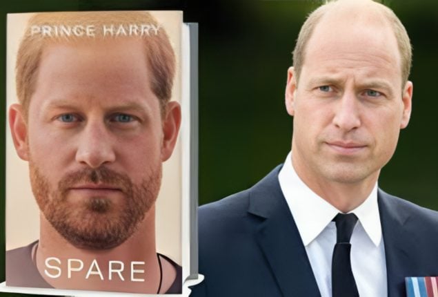 Prince William’s Strong Reaction to Prince Harry’s Memoir