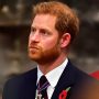 Prince Harry’s Plans to Shake Up Royal Family