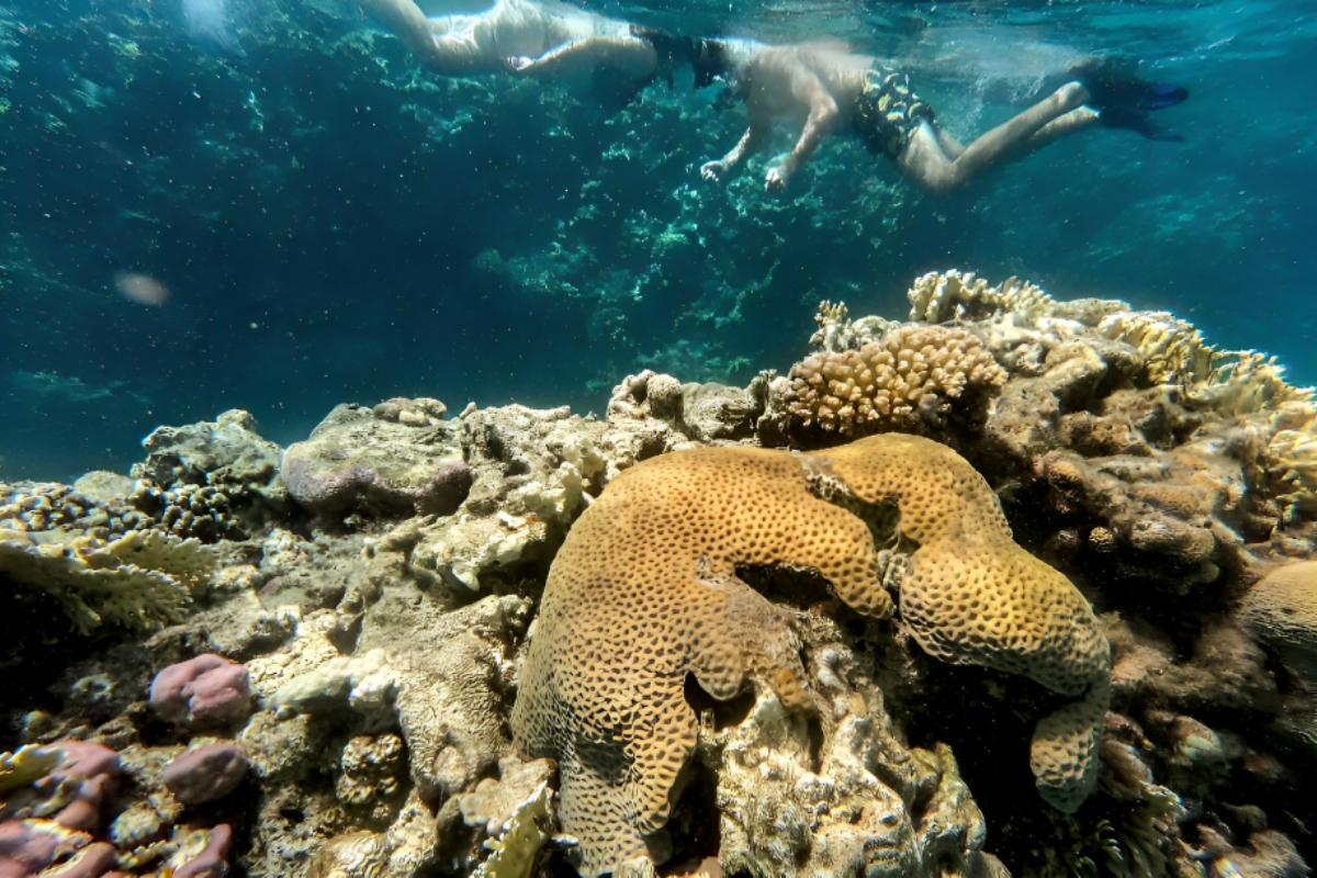 Red Sea
