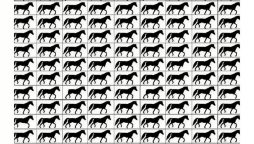 Optical Illusions: Spot The Horses With Three Legs