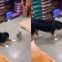 Heartwarming Video: Dog’s Joyful Meeting with Kitten