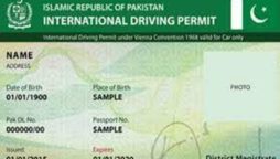 Driving license