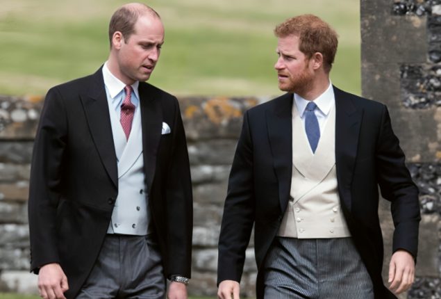 Prince William’s Surprise Reconciliation with Prince Harry