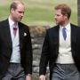 Prince William’s Surprise Reconciliation with Prince Harry