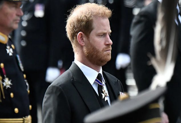 War hero slams Prince Harry for ‘attacking’ UK media