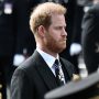 War hero slams Prince Harry for ‘attacking’ UK media
