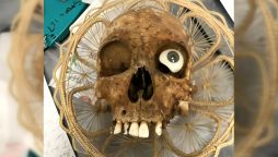 Human Skull Found in USA Goodwill Donation Box