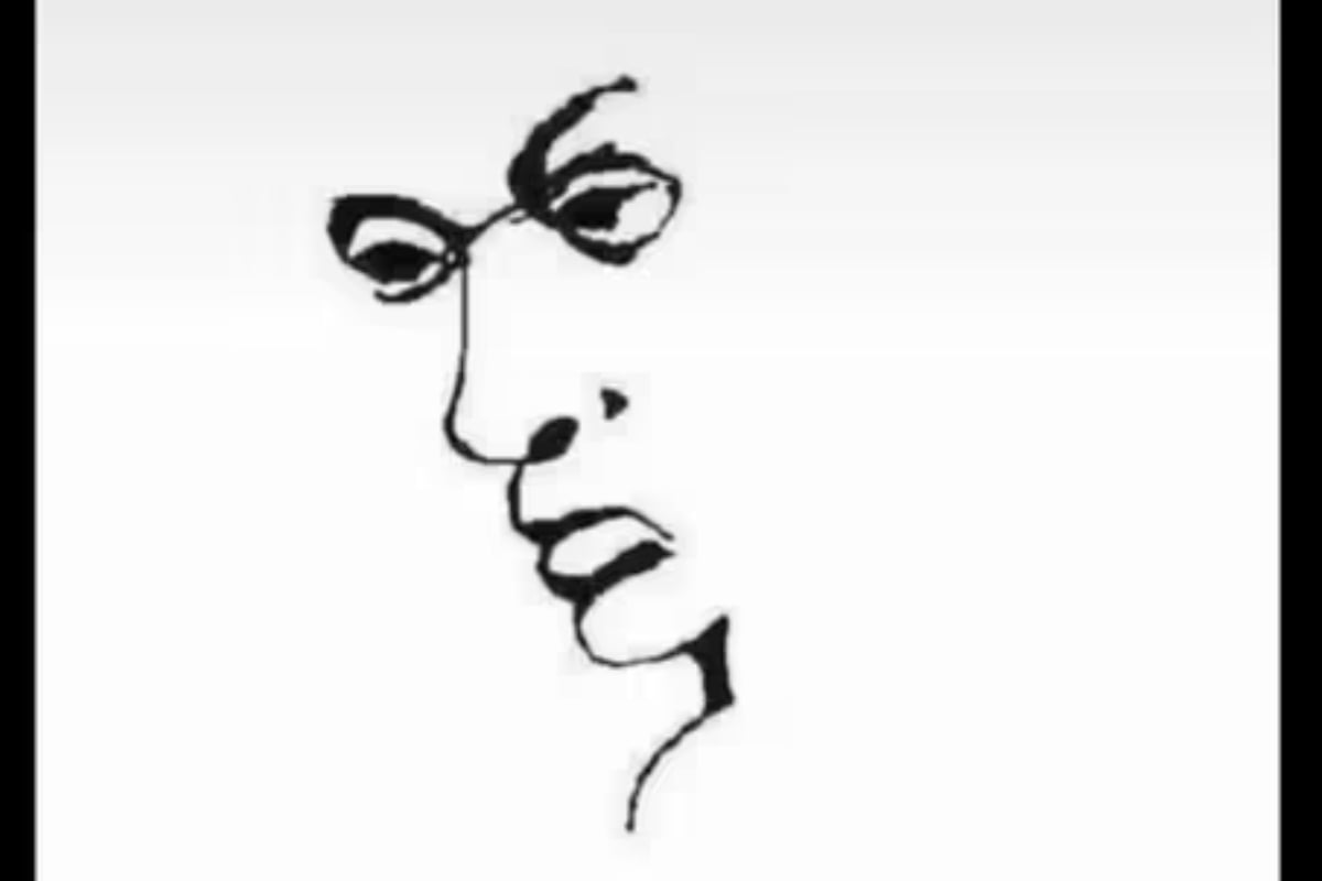 Viral Optical Illusion